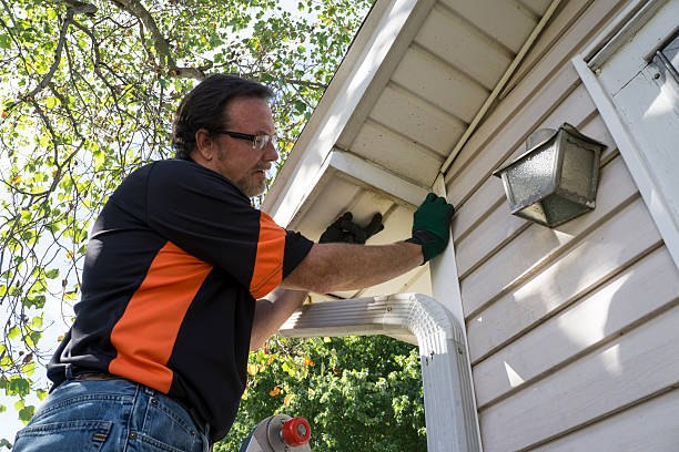 Best Siding Maintenance  in Trevorton, PA